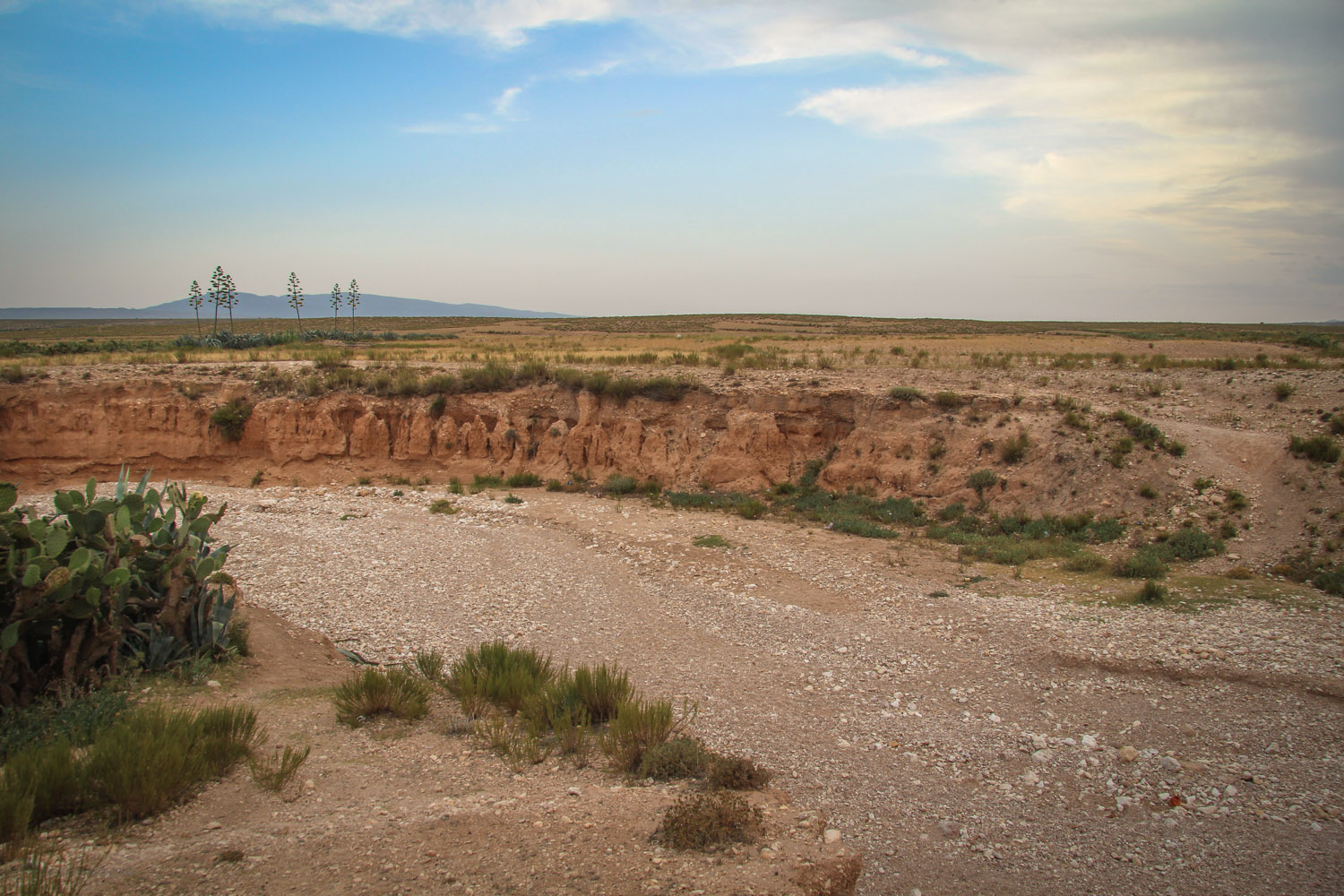 Dry riverbed