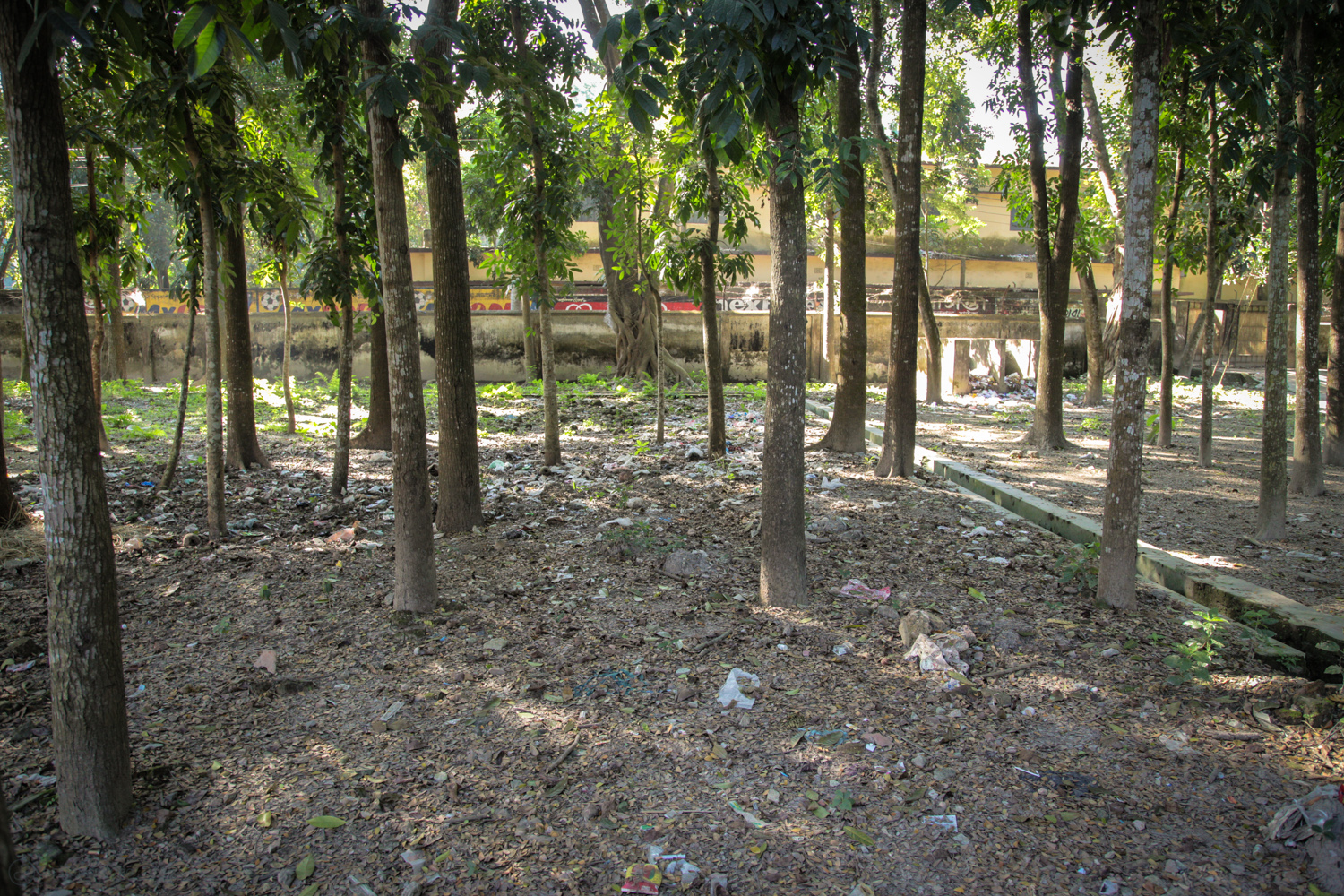  Shaded tree area near ambulance and hospital entrance 