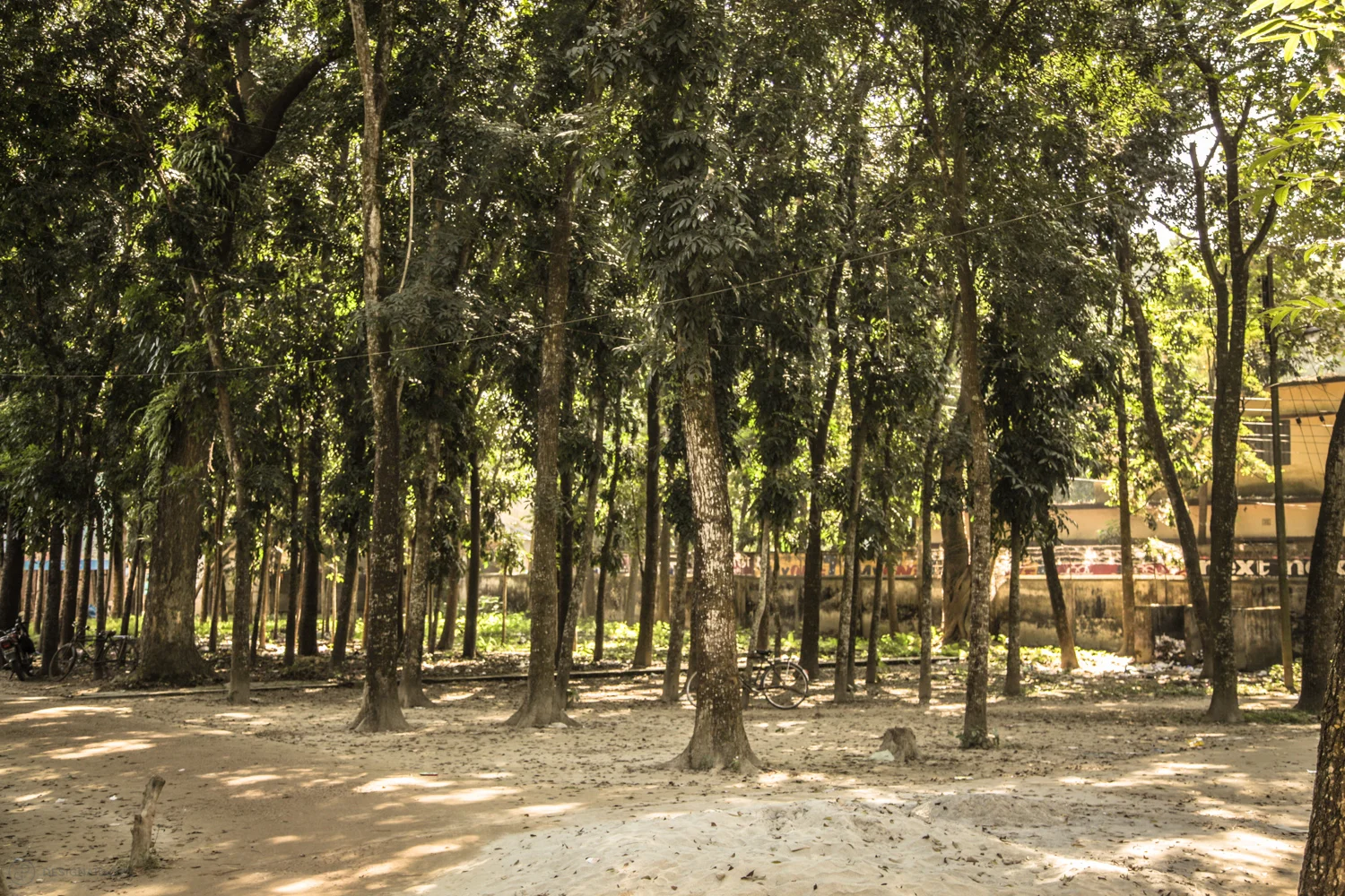 Poor communication and mismanagement create dangerous hospital grounds