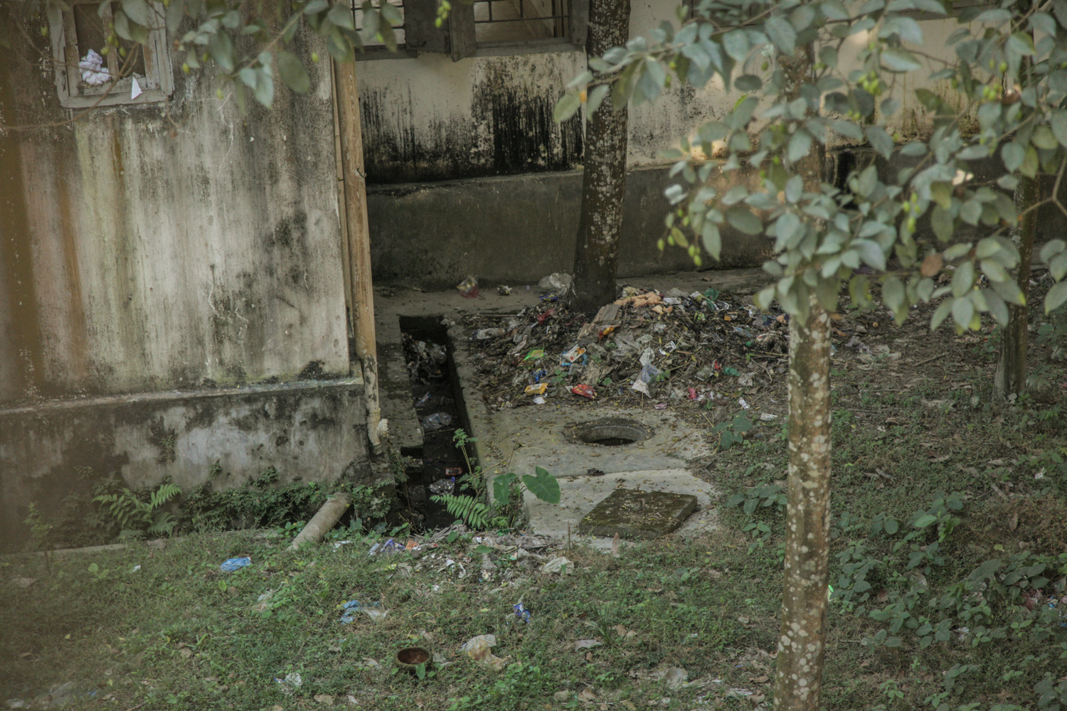  View from a patient ward onto the hospital grounds 