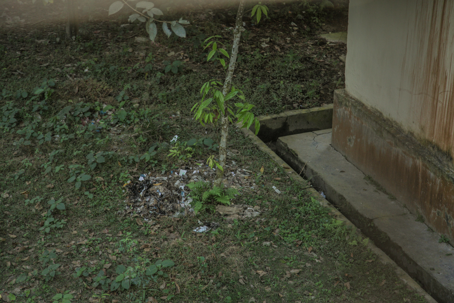  View from a patient ward onto the hospital grounds 