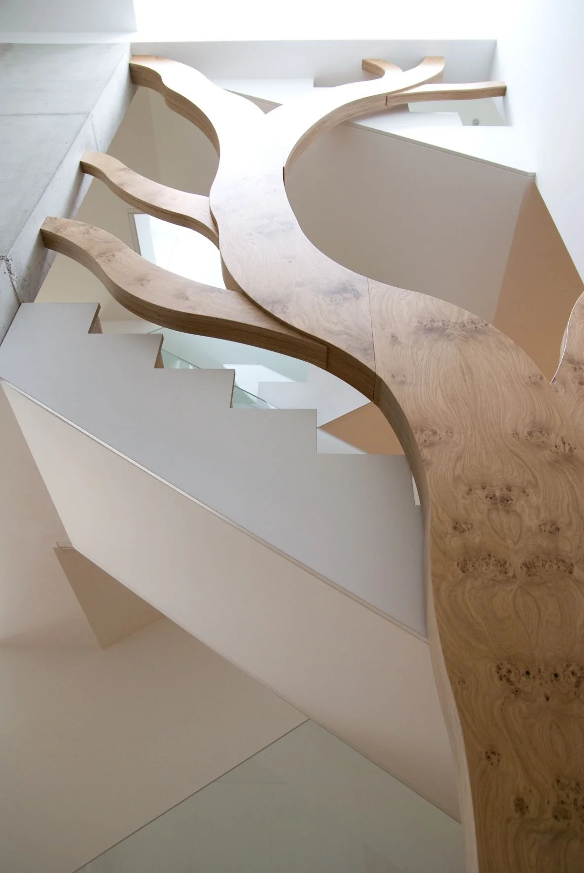 01.04 JACK_arbreWEB.jpg