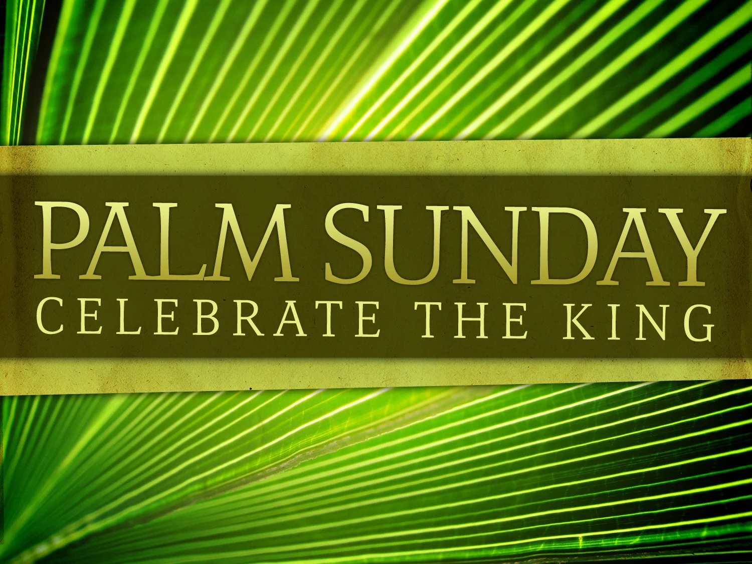 Sunday Service: Palm Sunday