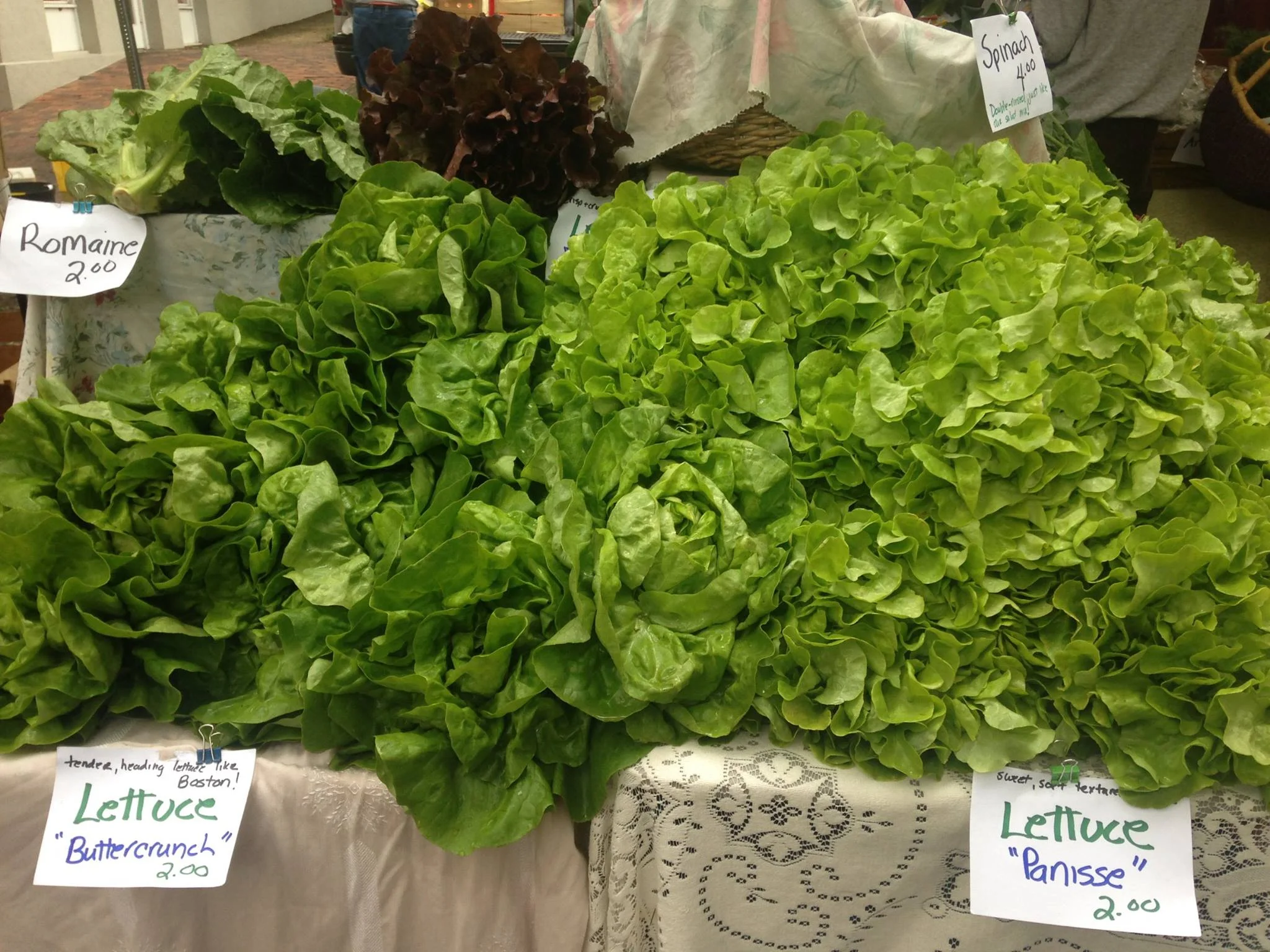 lettuce.jpg