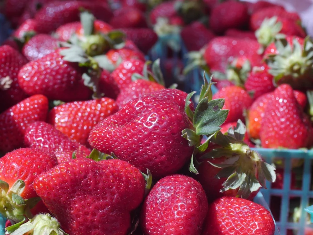 strawberries haile.jpg