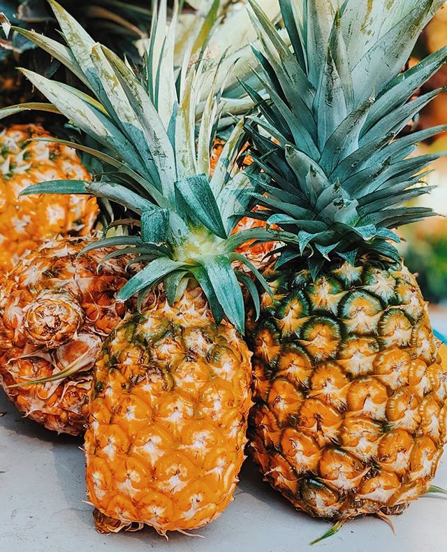 Florida perks 🍍💁
Pineapple from Boondox Tropicals
.
.
.
#summer #summertime #Gainesville #healthyeating #saturdayvibes #handpickedGNV #whyilovegnv #iamgainesville  #lovelocal #Hailefarmersmarket #farmersmarket #localveggies #supportsmallbusiness #s
