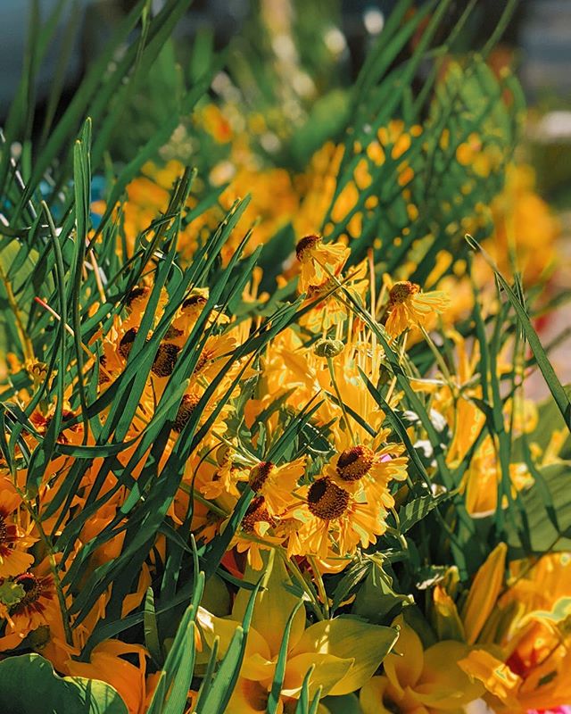 Ready for flower season to be back at the farmers market? It's almost here! 
Open today 8:30 - Noon with select blooms. 👩&zwj;🌾💐