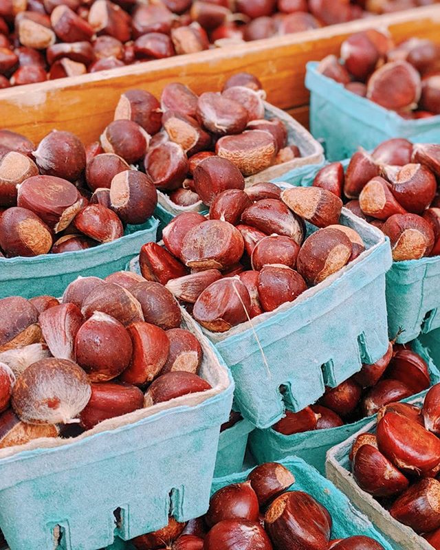 Happy to report that fall produce production is ramping back up at the market. Check out these chestnuts and ginger from Possum Hollow Farm.