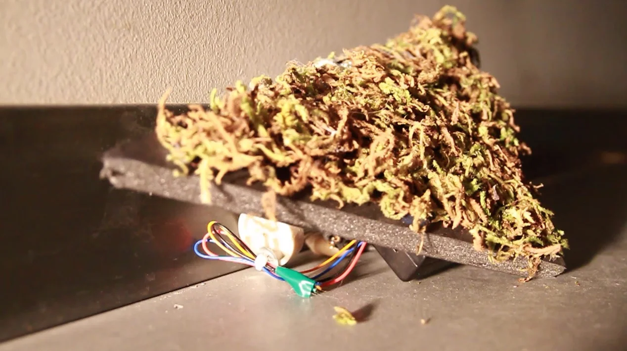 Screen Shot 2014-05-26 at 1.30.36 AM.jpg