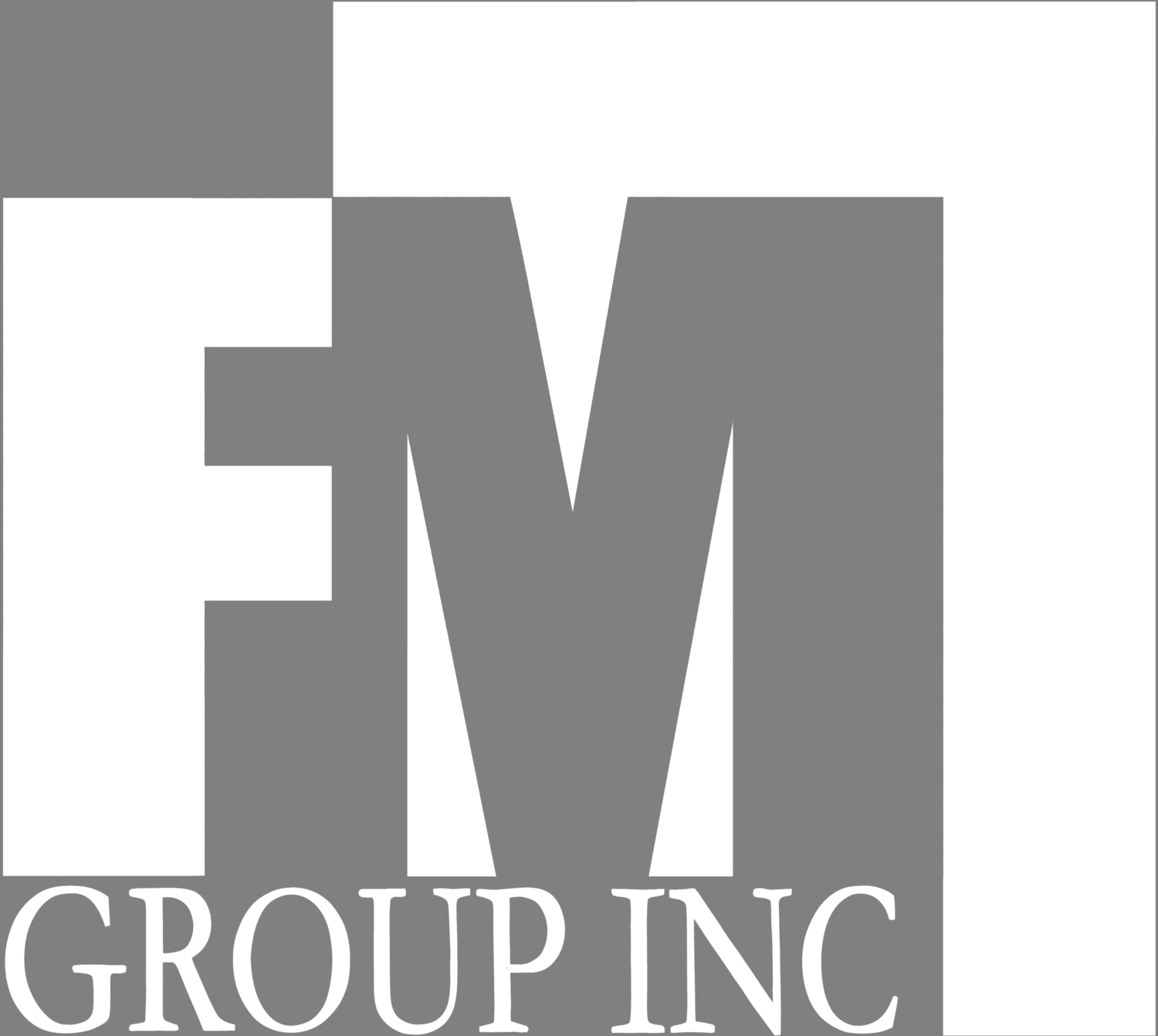 FM GROUP INC