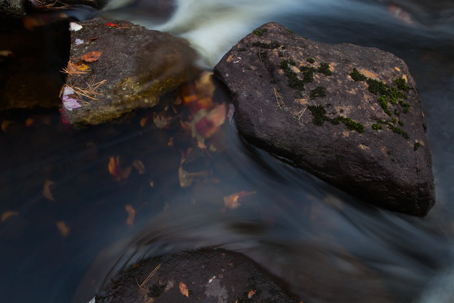 _MG_1753.jpg