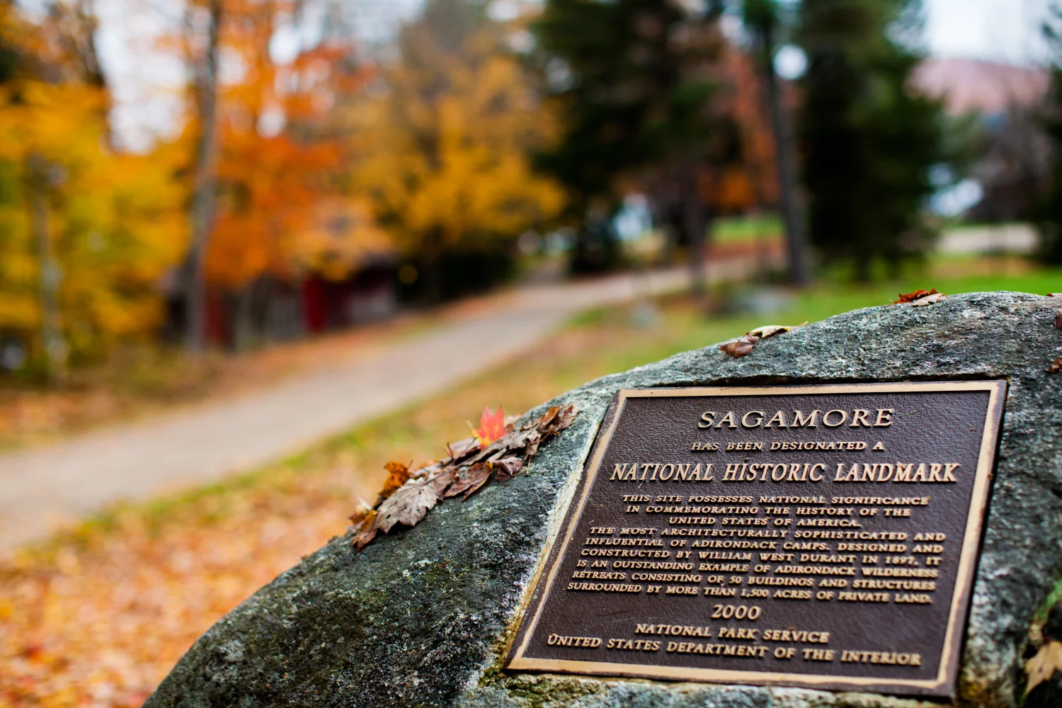 sagamore-0547.jpg