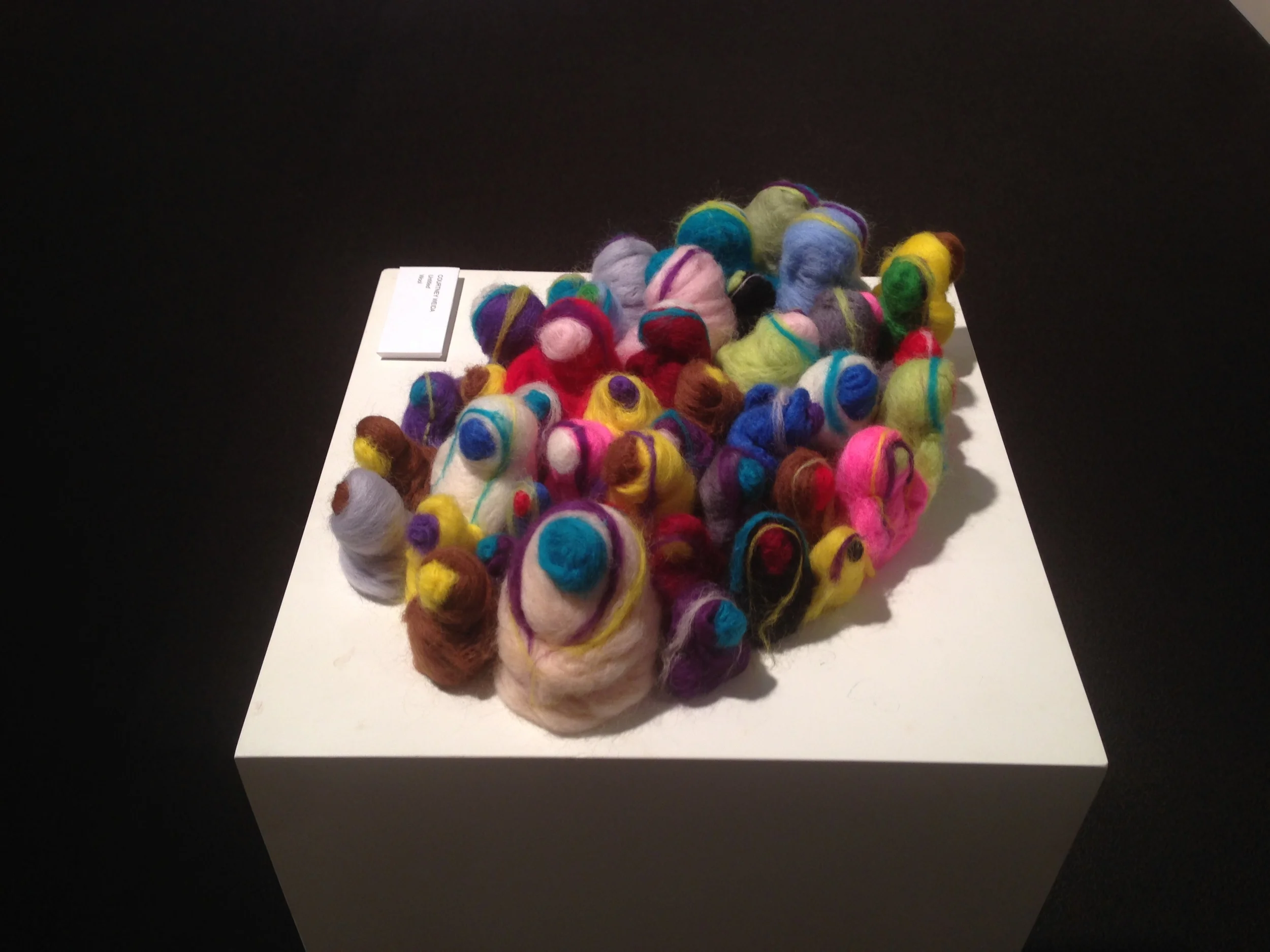 Untitled/Needle Felting.  2013.  Exhibited in Rockville Centre Library Exhibition.  Fiber.