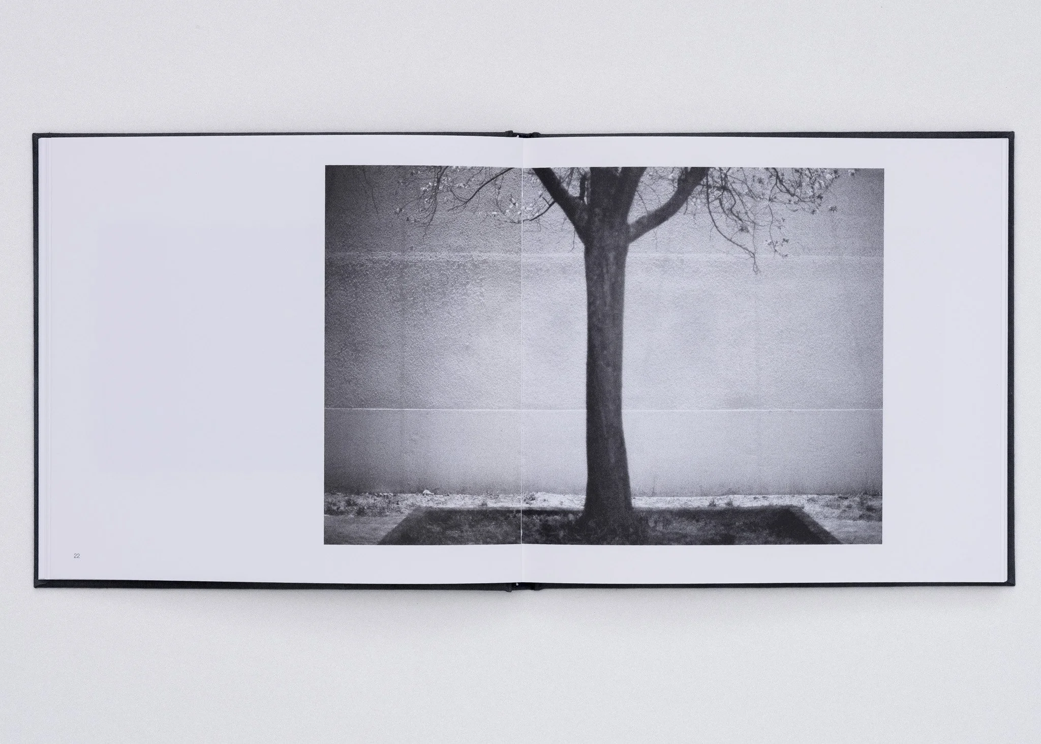 RoP Book for Website new version-3.jpg