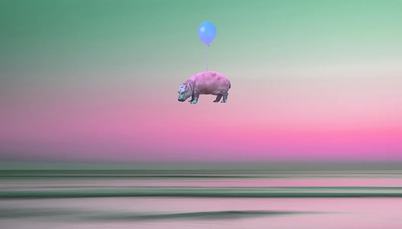 Animal+Balloon_hippo_S.jpg