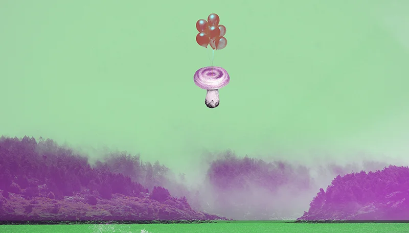 Animal+Balloon_kinoko_S.jpg