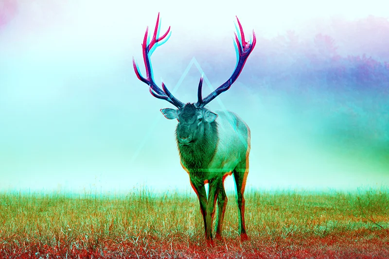 deer_s.jpg