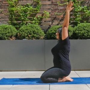 180° of Shoulder Flexion