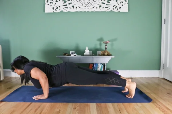 chaturanga1-4.jpg