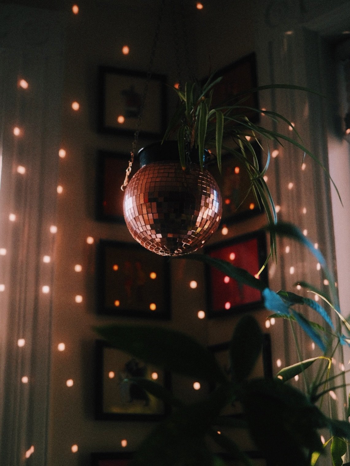 Currently outsourcing my happiness to this lighting ✨