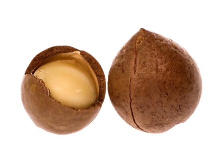Macadamia Nut.jpg