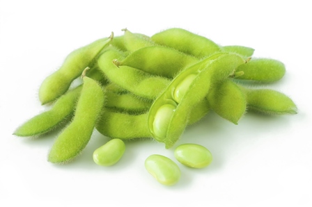 Soy bean.jpg