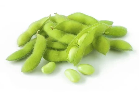 Soy bean.jpg