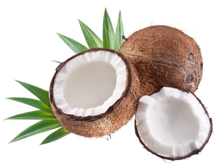 Coconut.jpg