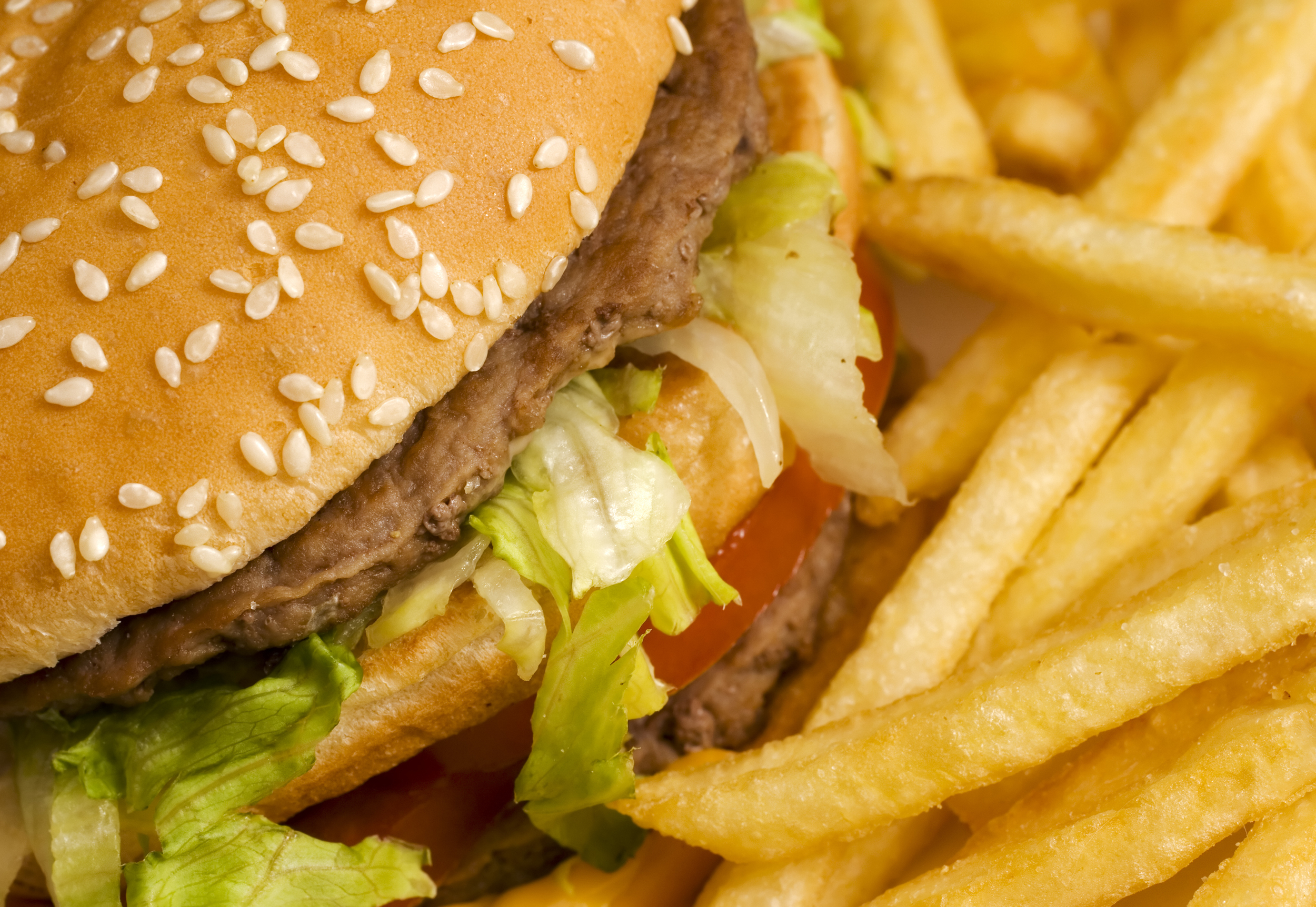 bigstock-burger-and-french-fries-close--26363396.jpg