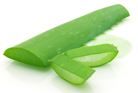 Aloe-Vera.jpg