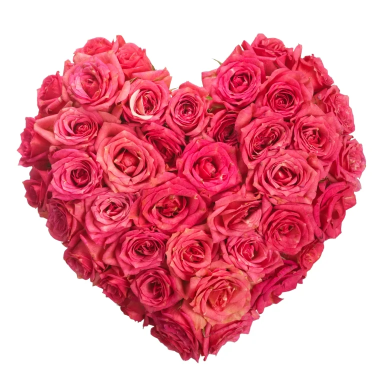 Rose heart sml.jpg
