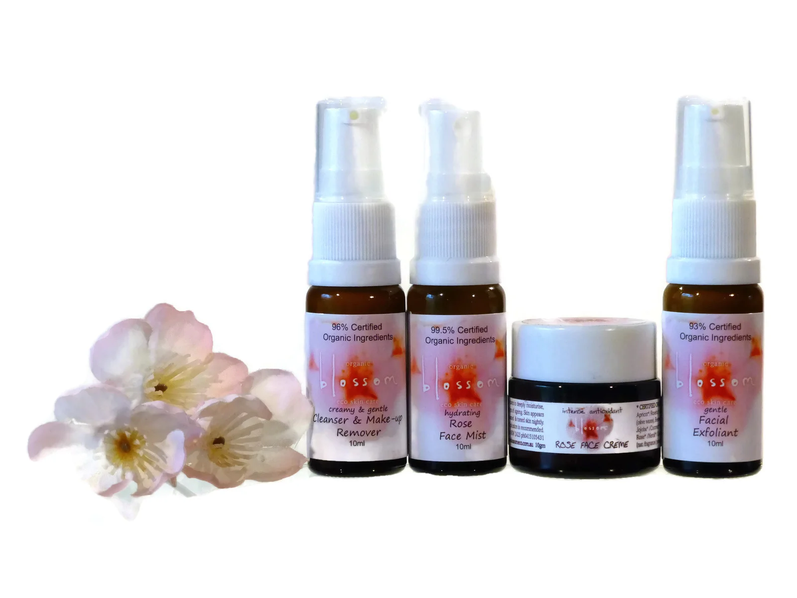 Rose_Sampler.jpg