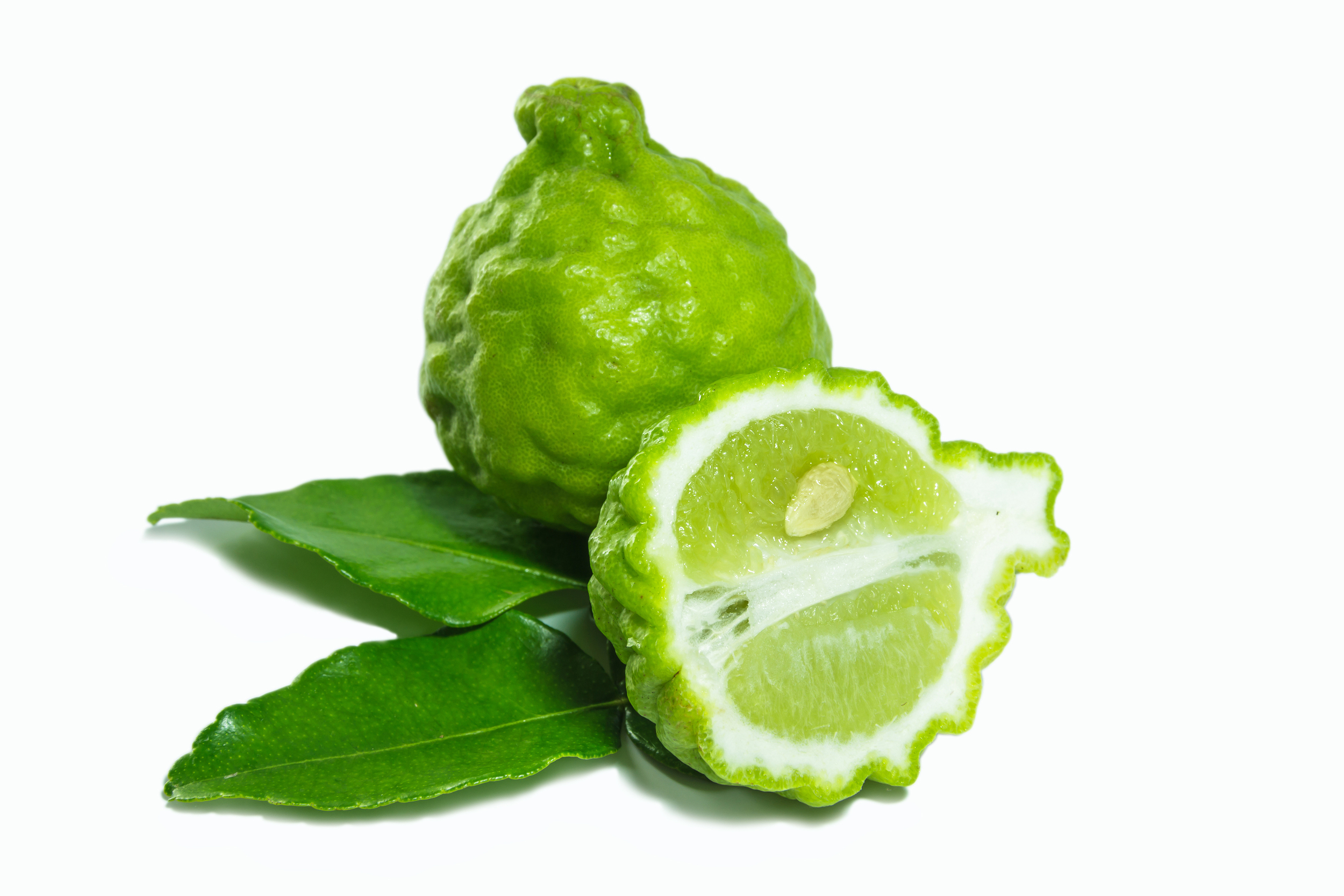 bigstock-Bergamot-54030445 Lrg.jpg
