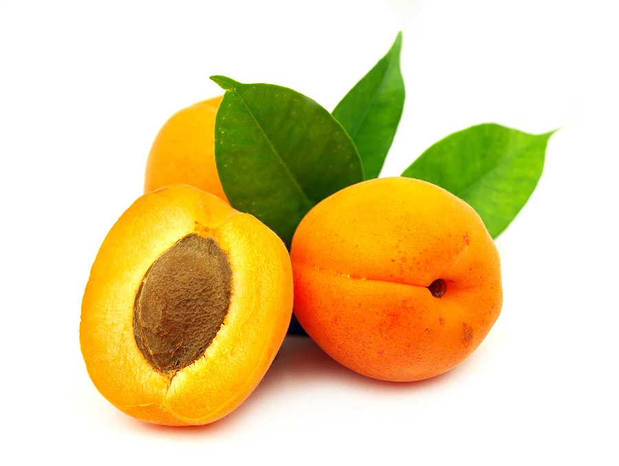 blossomeco-Fresh-apricot-on-white-backgro-17066168.jpg