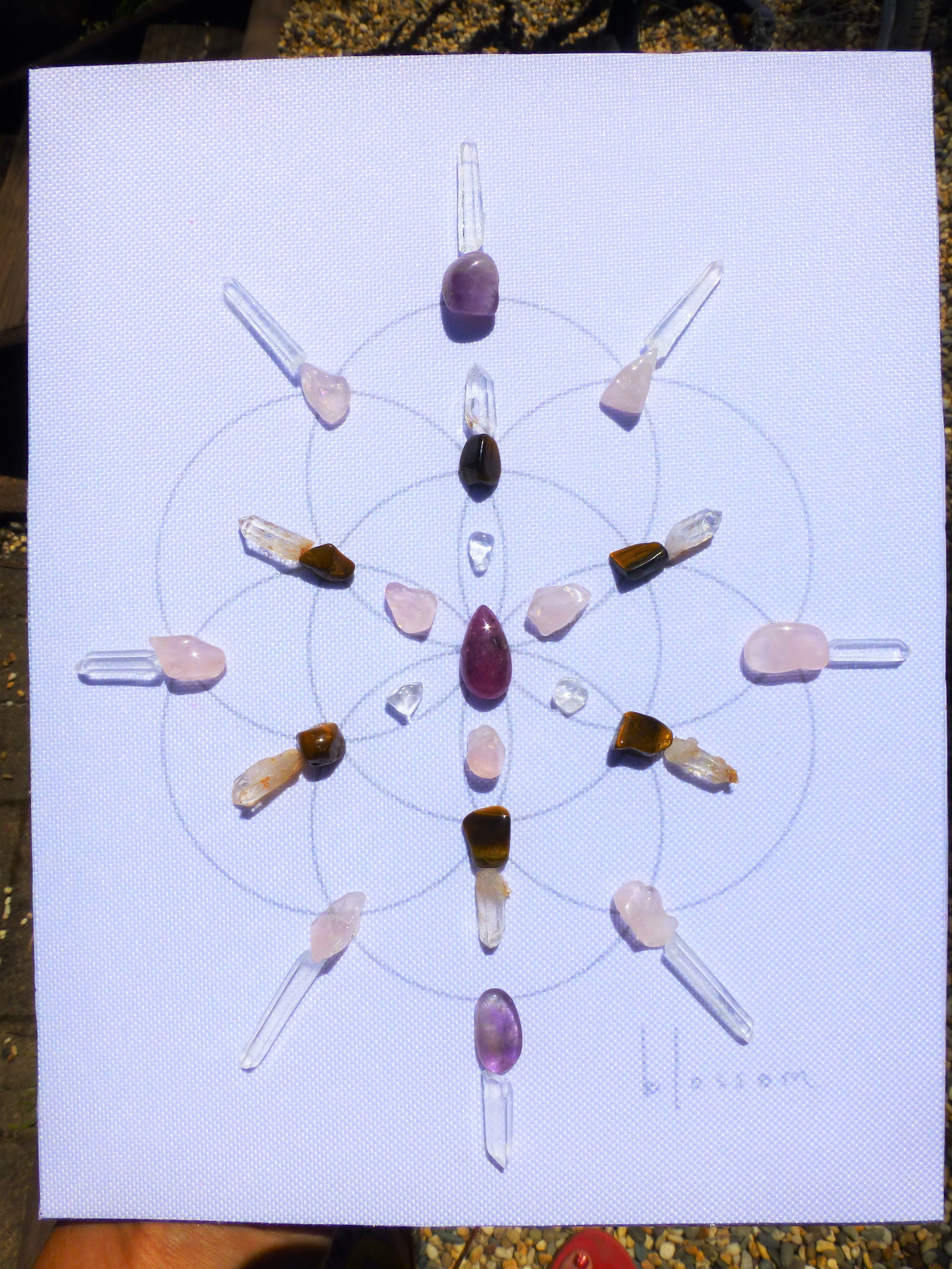 P1060001 (2).JPG