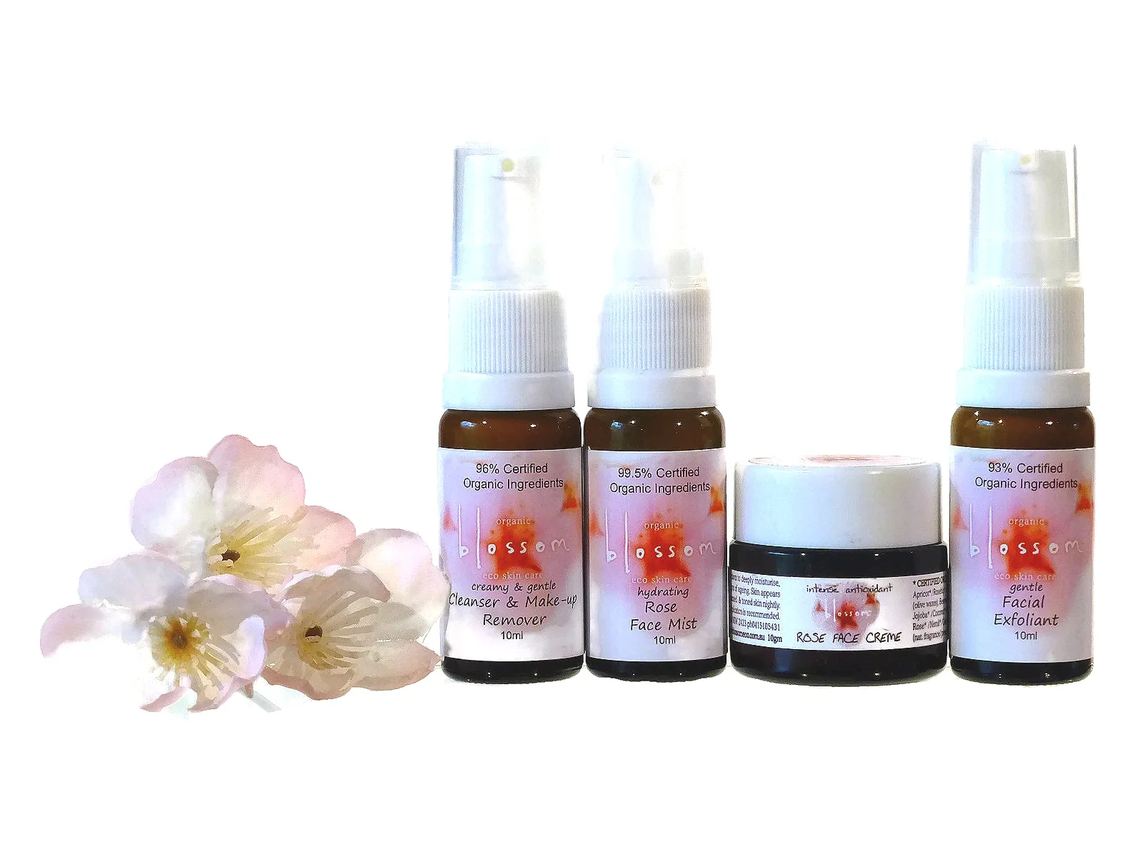 NEW_Rose_Sampler.jpg