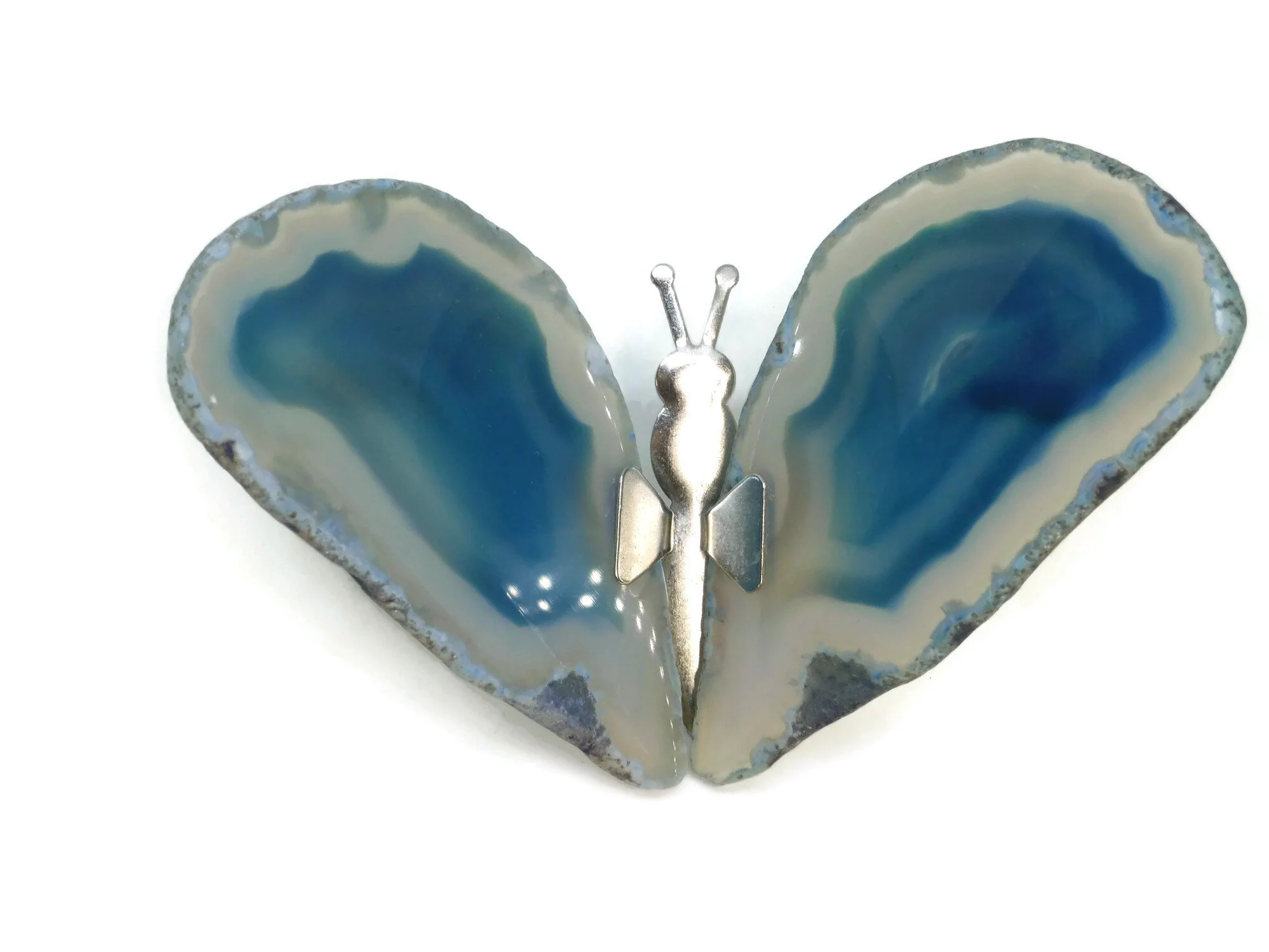 Blue White Butterfly .jpg
