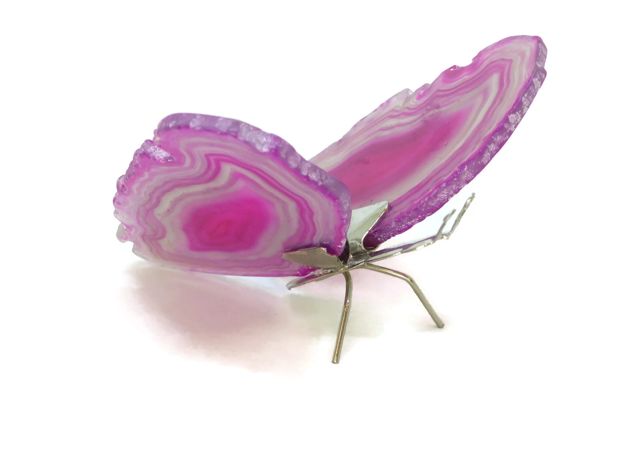 Butterfly side.jpg