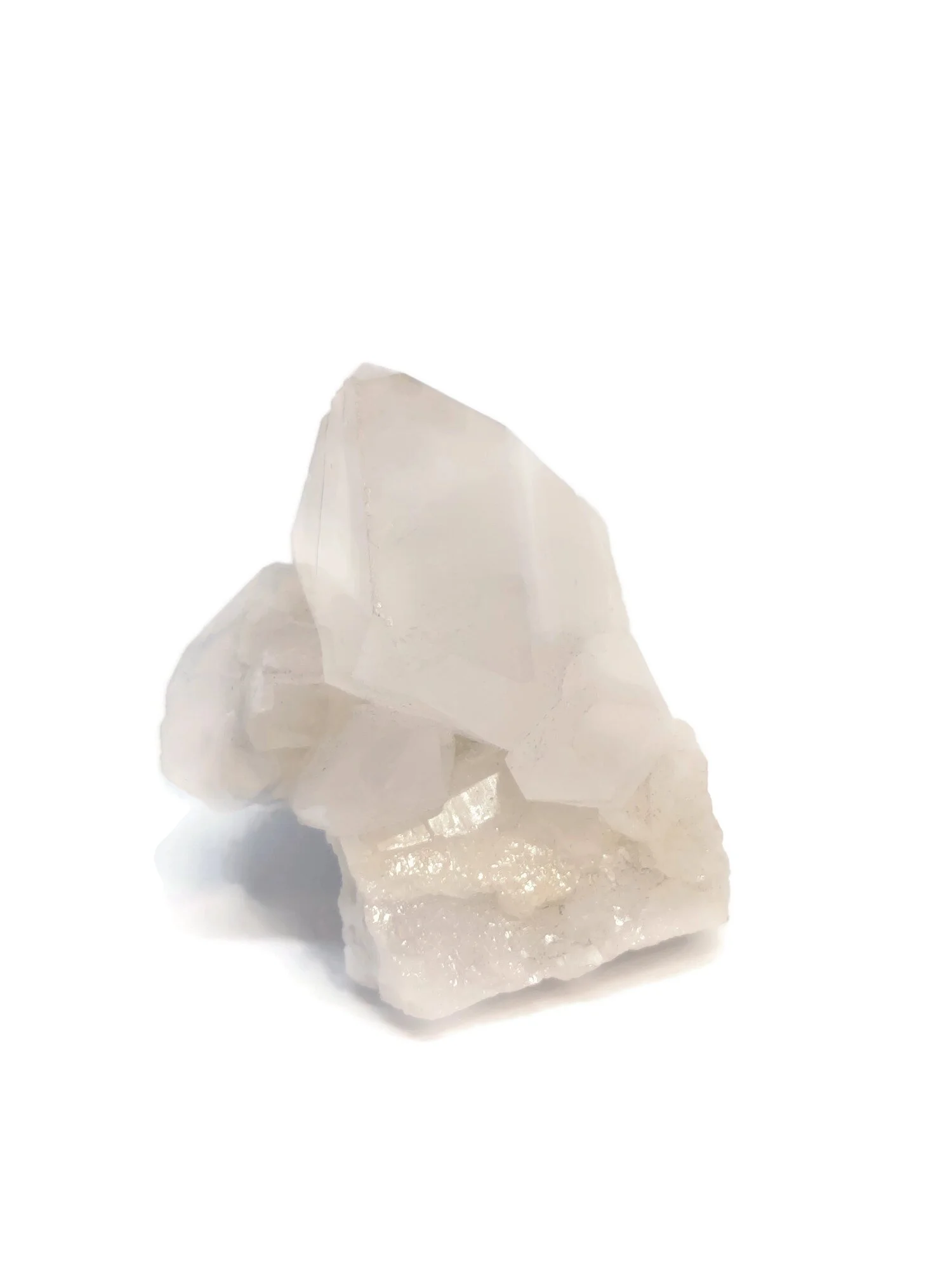 CLEAN SMALL POINT.jpg