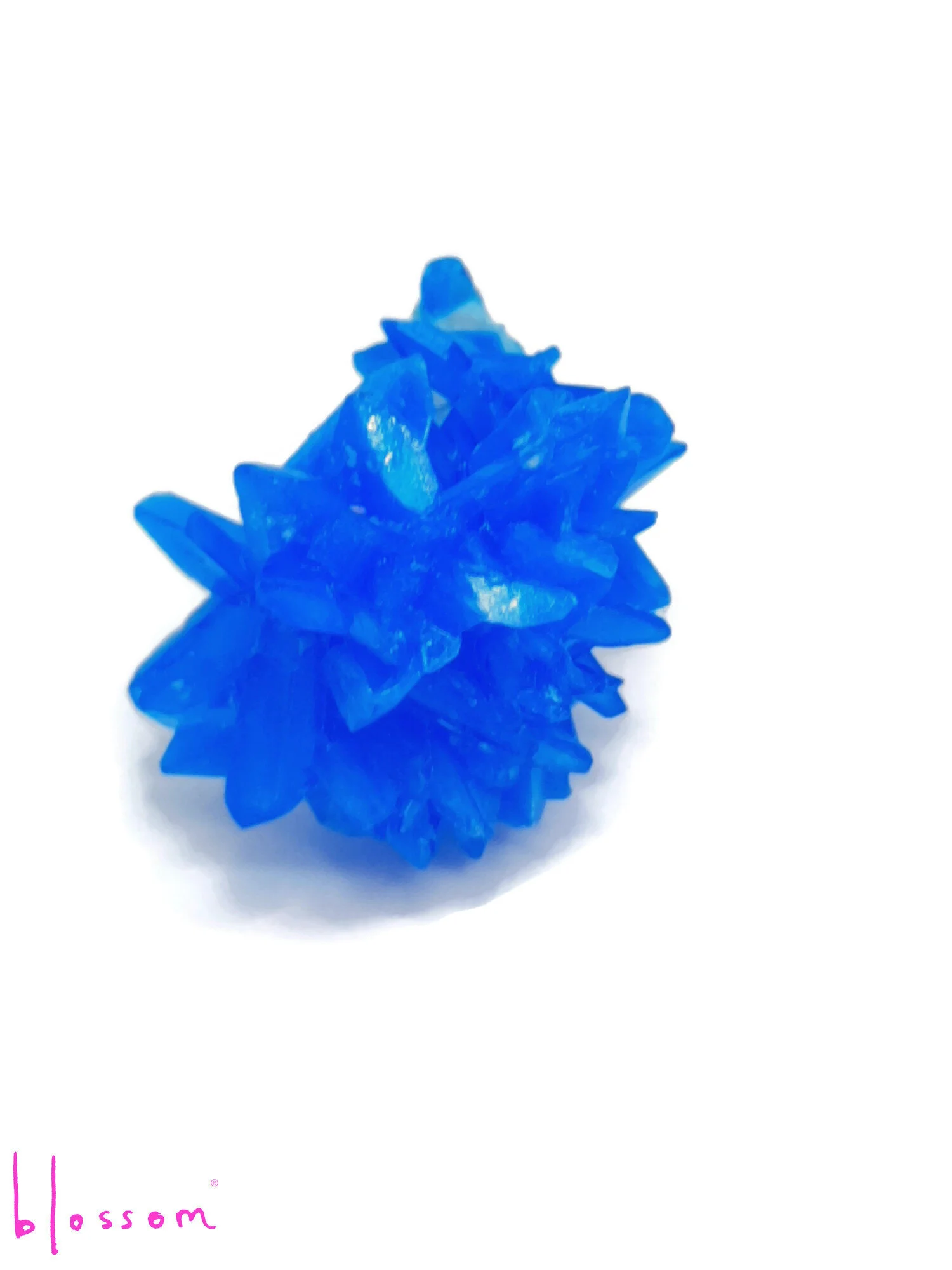 blue .jpg