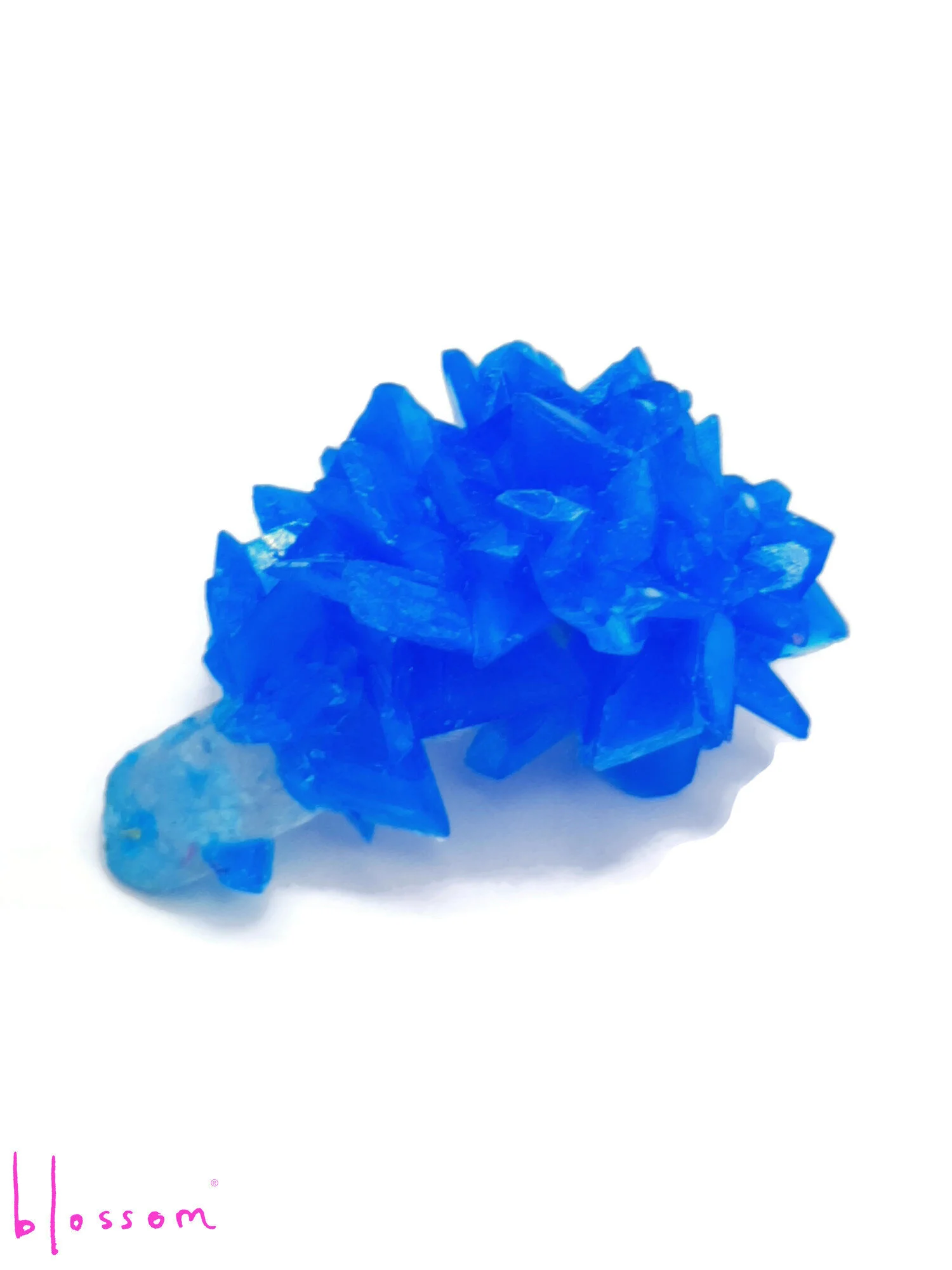 blue 2.jpg