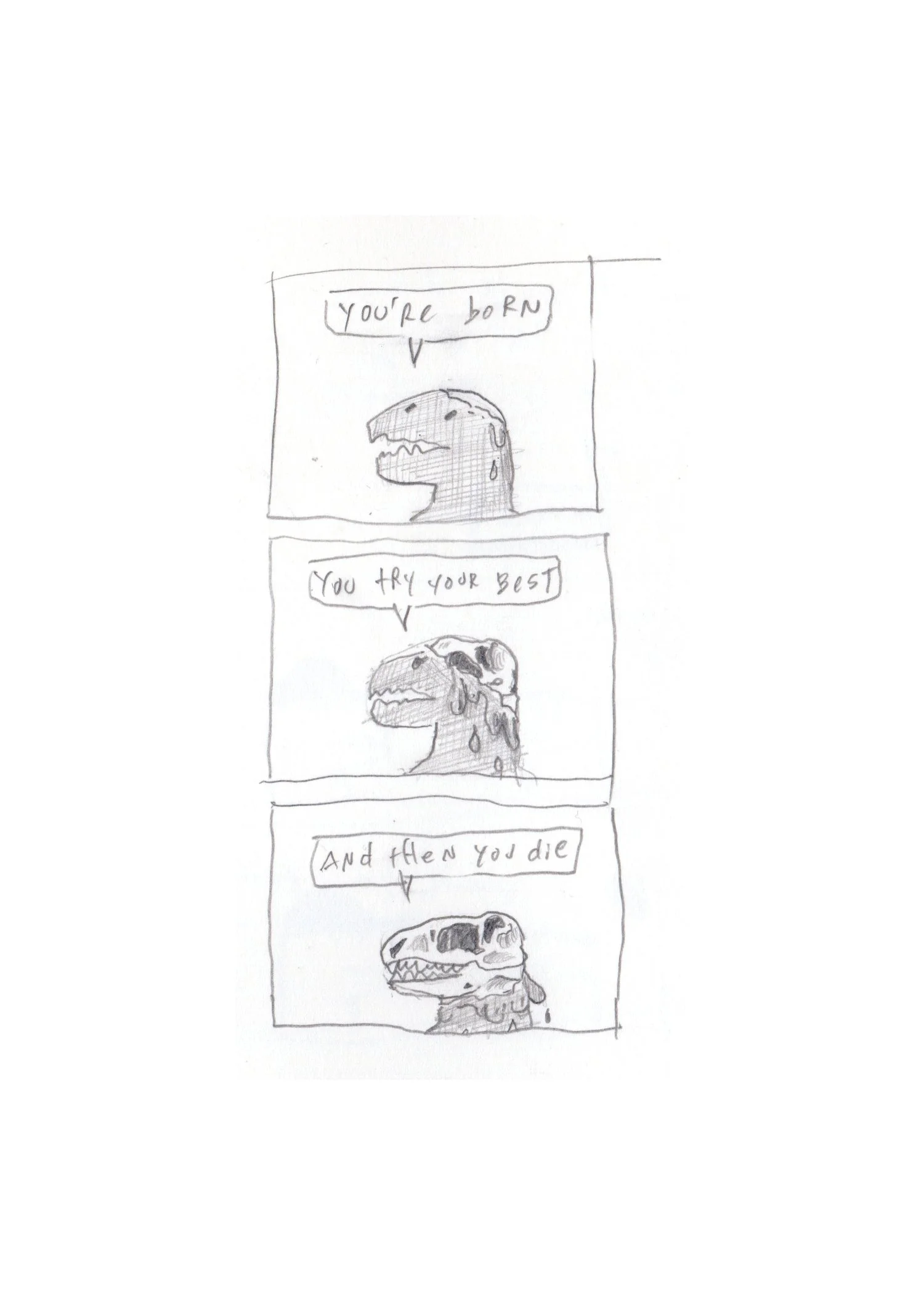 06.jpg