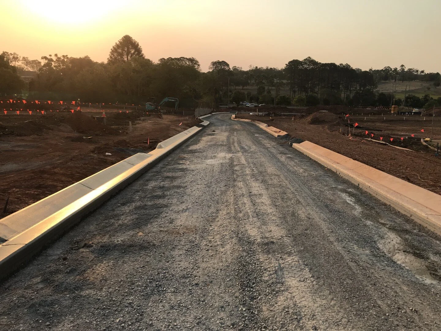 Lomandra (Large).jpeg