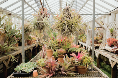 sf-greenhouse-wedding-11.jpg