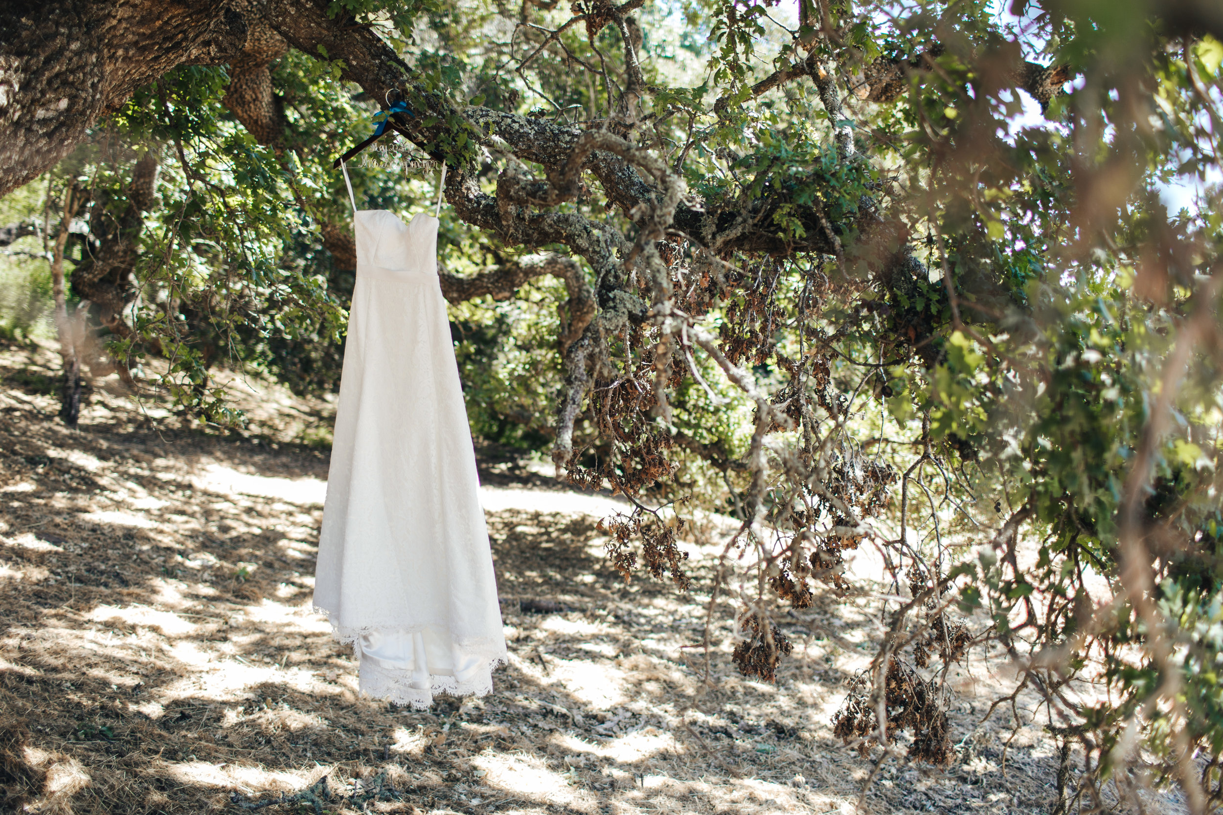 Strapless_Lace_Wedding_Gown_1.jpg