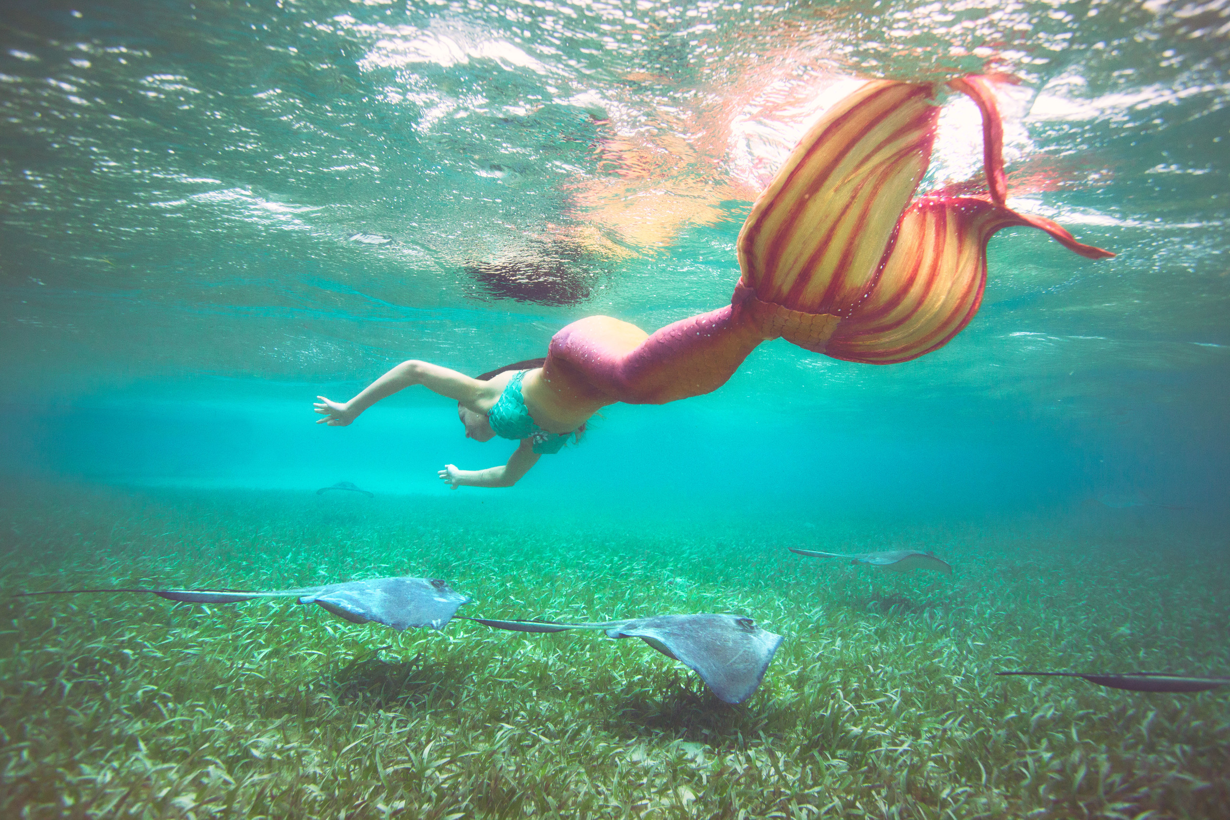 Belize Mermaid Retreat 2016-200-(ZF-10252-42383-1-056).jpg