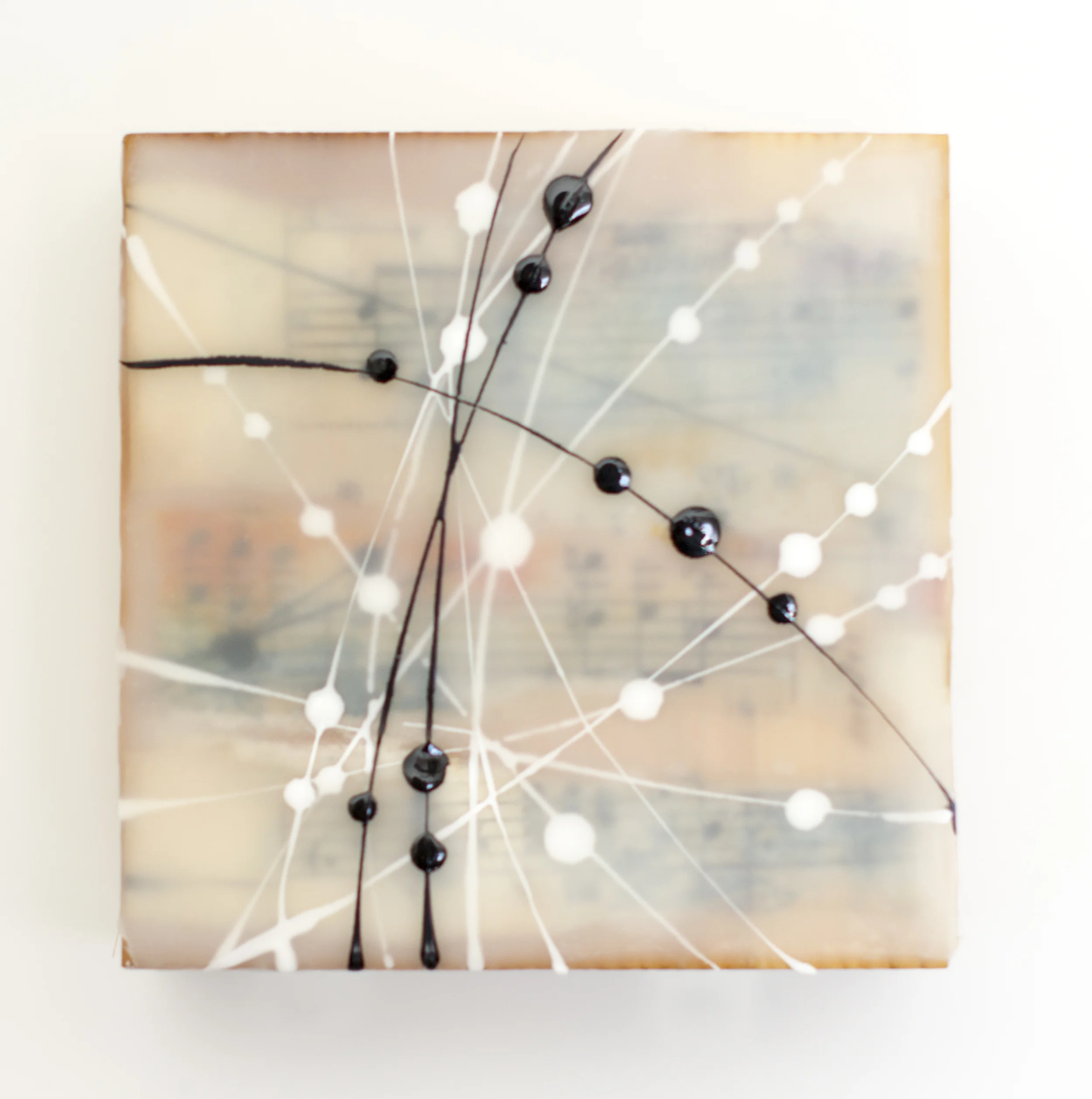 100_Gossamer_35_3.5x3.5.JPG