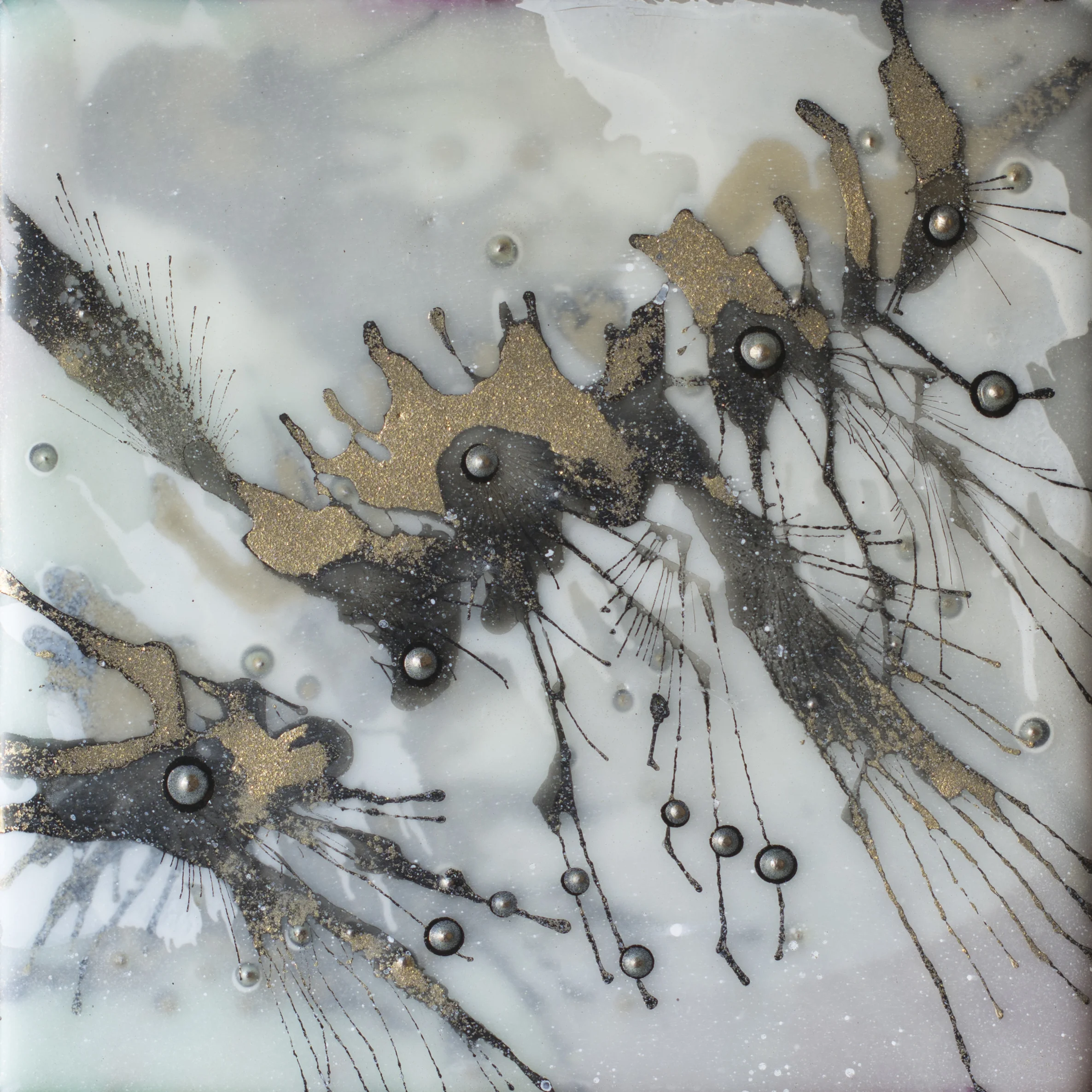The Regeneration of Neurons No. 9