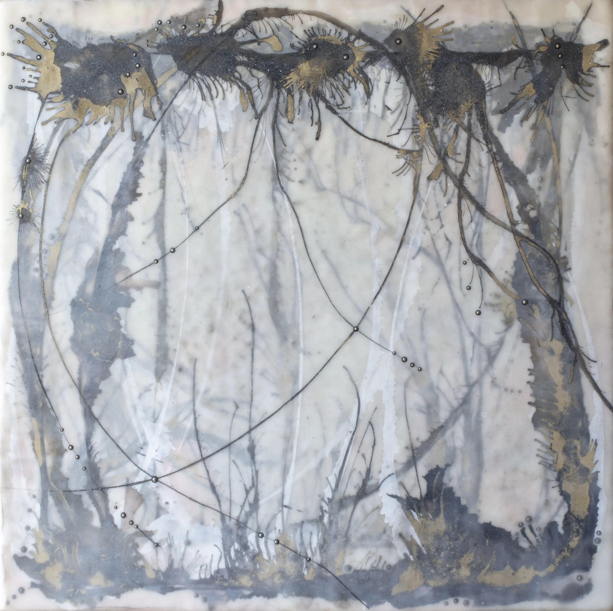 The Regeneration of An Untitled Experiment