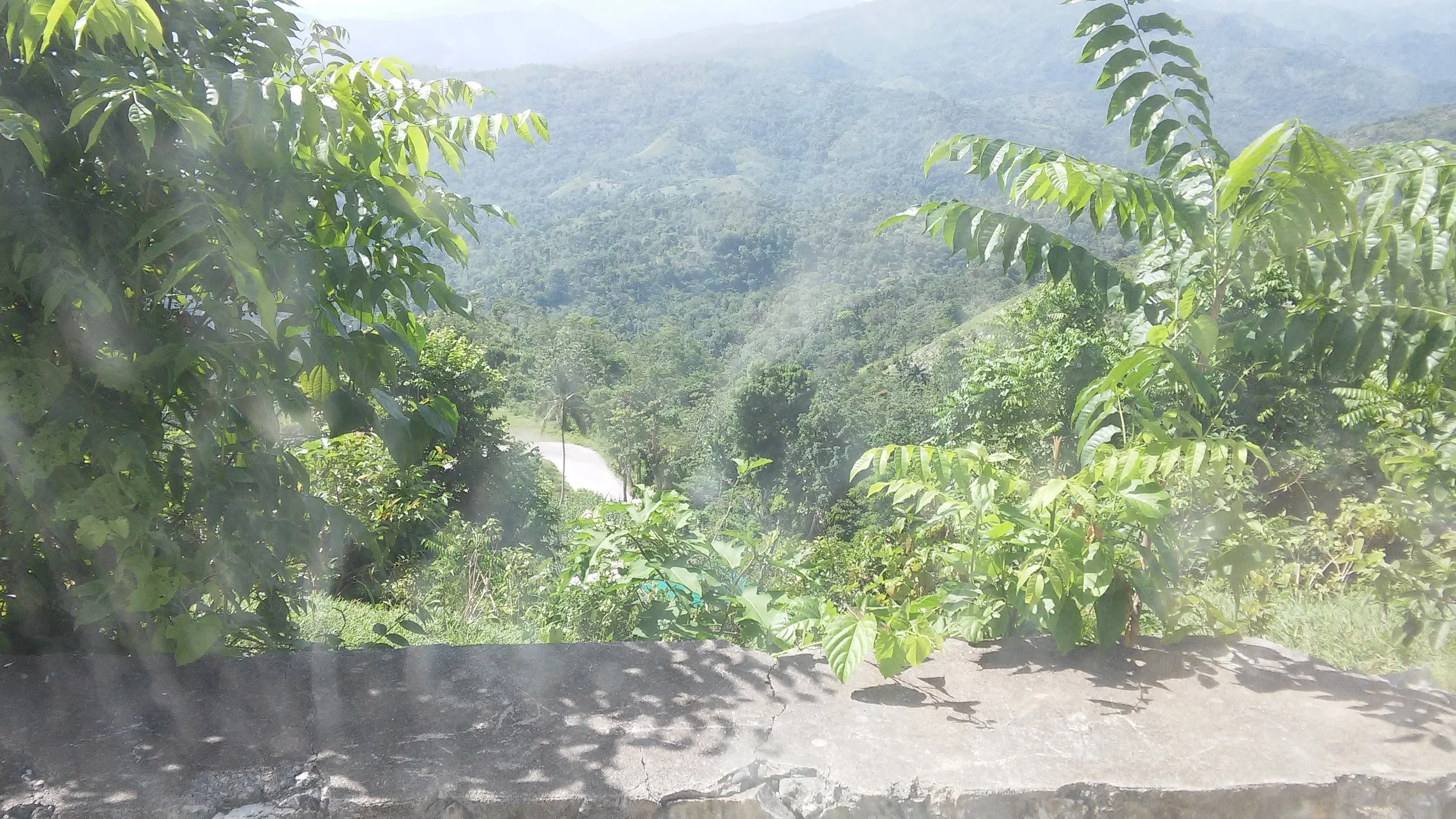 20160615_102055.jpg